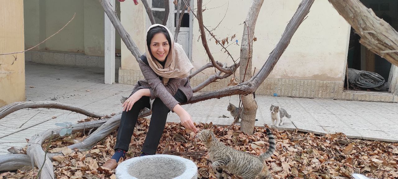 فرش و صنایع دستی شیرسپهر